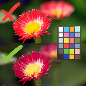 Datacolor SpyderX Photo Kit